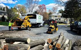 Montpelier, VT Tree Services Company